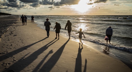 hamsterfreund-beach-5696492_1920