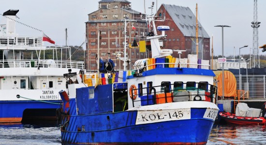 kuter (1)