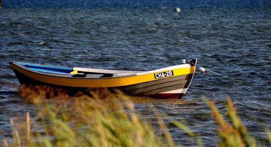 tookapic-sea-932908_1920